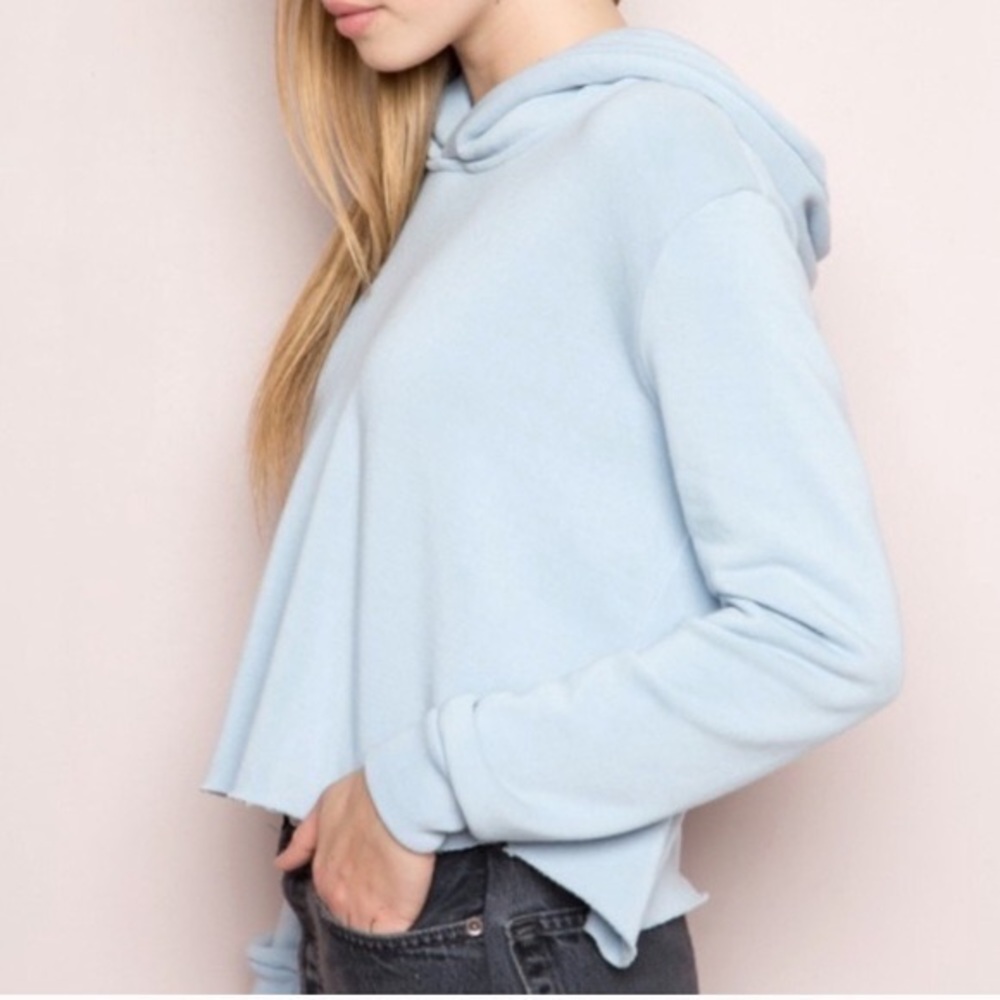 Brandy Melville Cropped Hoodie in Light Blue